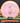 Axiom Pyro Prism Plasma pink-orange 177.1g