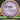 Axiom Rhythm Proton Purple/Yellow/Silver/Black 164g