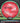 Axiom Rhythm Proton Red/Green/Silver/Black 167g