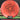 Axiom Discs Cosmic Neutron Insanity