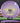 Climo Disc Golf Apogee | Pre-Order Champion Light Purple/Gold 175.6g