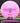 Climo Disc Golf Coast Pink/Purple 174g