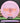 Climo Disc Golf Coast Prototype Pink/Orange 169.2g