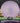 DGA Quake Z Line P-L Light Purple/Silver Squares 171.4g
