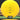 DGA Blunt Gumbputt