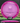 Discmania DD C-Line Purple/Rose Gold 174g