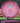 Discmania FD C-Line Dark Pink/Aqua 174g