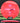 Discmania FD Red/Purple 174.4g