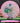 Discmania Founder C-Line White-Pink/Green-Gold 177.5g