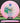 Discmania Founder C-Line White/Pink/Green/Gold 177.8g