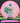 Discmania Founder C-Line White/Pink/Green/Gold 177.9g