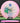 Discmania Founder C-Line White/Pink/Green/Gold 177g
