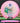Discmania Founder C-Line White/Pink/Green/Gold 178.2g