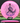 Discmania Function Neo pink/purple 174g