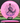 Discmania Function Neo pink/purple 174g