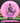 Discmania Function Neo pink/purple 176g