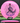Discmania Function Neo pink/purple 176g