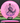Discmania Function Neo pink/purple 176g