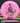 Discmania Function Neo pink/rainbow 175g