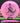 Discmania Function Neo pink/rainbow 176g