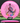 Discmania Function Neo pink/rainbow 176g