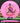 Discmania Function Neo pink/red 174g