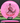 Discmania Function Neo pink/red 175g
