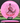 Discmania Function Neo pink/red 175g