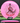 Discmania Function Neo pink/red 176g
