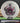 Discmania Origin C-Line White/Pink-Wonder Bread 177.2g