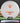 Discmania P1 D-Line Flex 1 Flex-3 White/Burnt Orange 173.3g