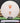 Discmania P1 P-Line White/Orange 174.1g