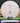 Discmania P1 P-Line White/Pink 176.0g