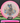 Discmania P2 Meta White & Pink/Gold & Blue 177g