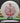 Discmania Q-Line Cloud Breaker - Gannon Buhr Signature Series White/Red 174.4g