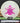 Discmania Sensei Active Glow clear-green/magenta shatter 174.9g