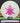Discmania Sensei Active Glow clear-green/magenta shatter 175.3g