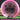 Discmania Discs Sensei