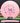 Discraft Buzzz ESP FLX pink/American flag 181.1g
