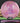 Discraft Buzzz Neutron Pig/Pink/Money 183.8g