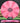 Discraft Focus CT Swirl Pink/Black 174.4g