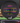 Discraft Luna Black/Rainbow 173g