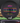 Discraft Luna Black/Rainbow 174g