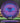 Discraft Nuke Z Line Purple/Blue 177g