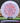 Discraft Raptor ESP lilac/red 173.7g