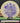 Discraft Sled Black Locust Stamp/Purple 179.4g