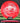 Discraft Terminator Z Line Red/Silver 173.5g