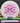 Discraft Zone ESP White/Magenta 175g