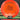 Discraft Sol