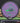 Dynamic Discs Warden Purple-Black/Green 172.2g